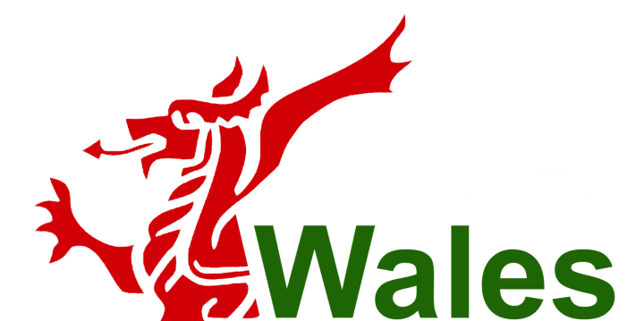 Logo Cyber Wales (Global EPIC)